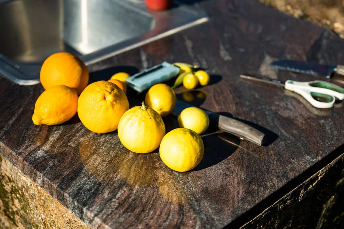 citrus fruit at Jacobsen Orchards urban farm  in Yountville, Napa Valley