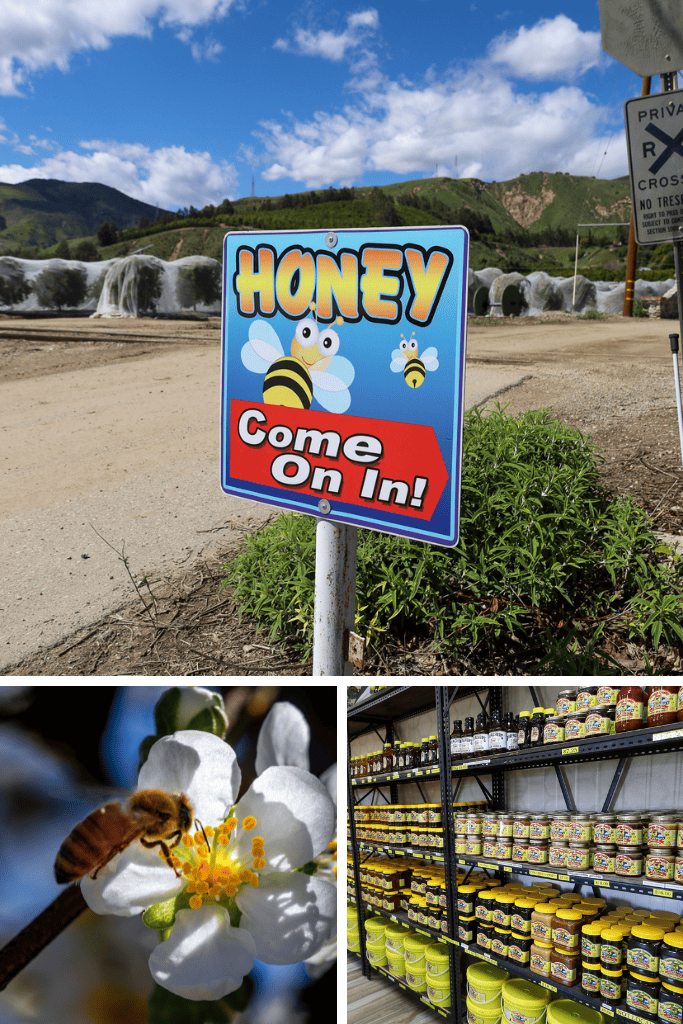 A Visit to Bennett’s Honey Farm