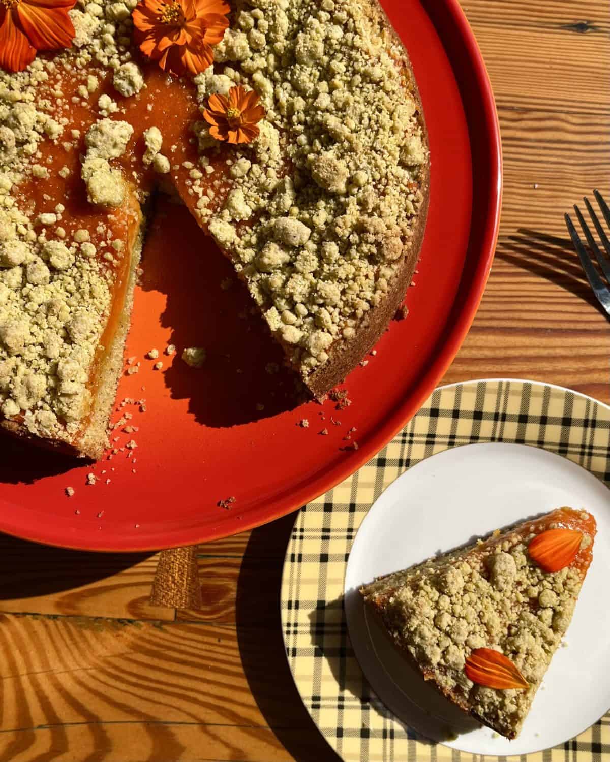 Sliced Apricot Pistachio Olive Oil Cake with Dried Stone Fruit - Bronwen Wyatt