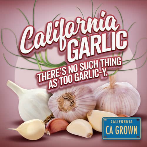 Incredible Garlic Recipes You’ll Definitely Love