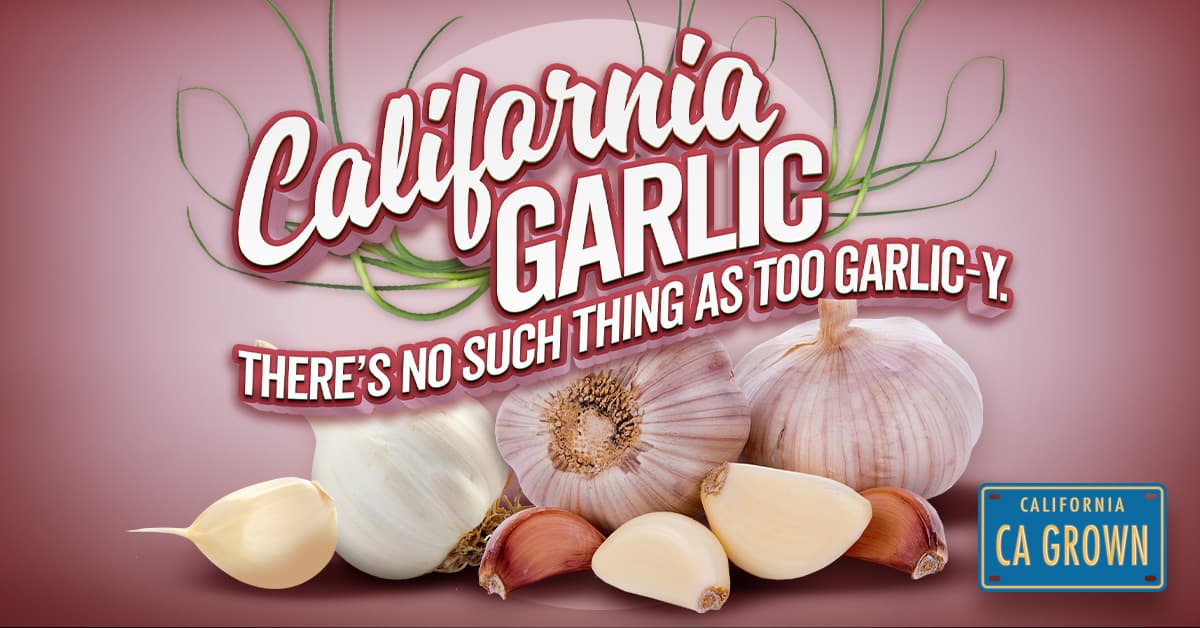 Garlic GTBG graphic
