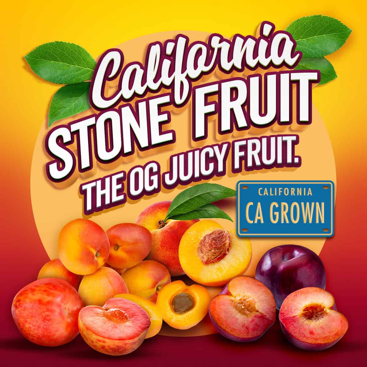 GTBG stone fruit graphic