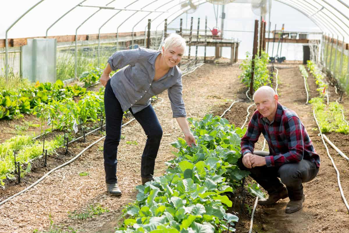 Gary Erickson & Kit Crawford at Clif Family Farm where they grow ingredients for Brassica, Pea, Burrata Bruschetta