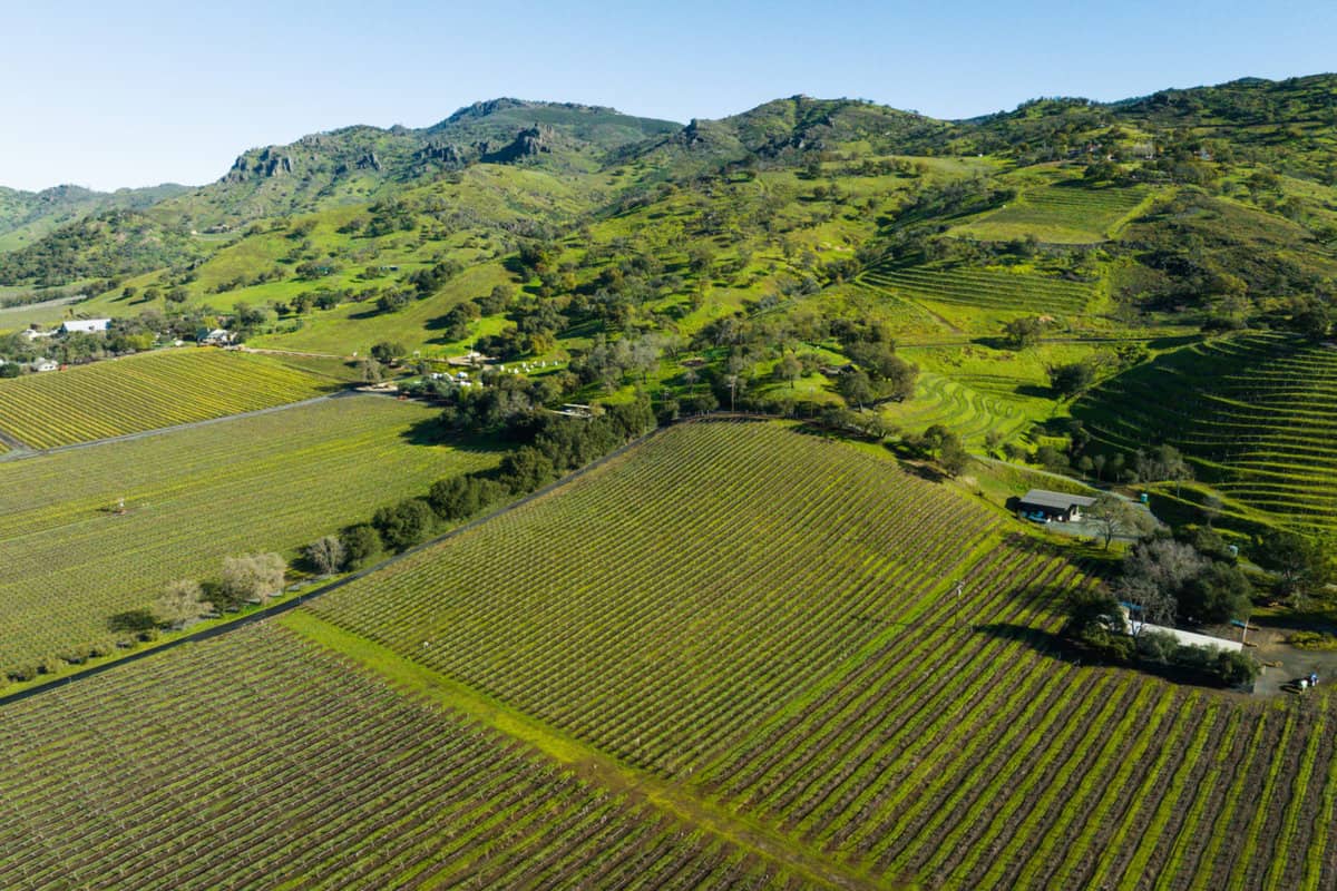 aerial view of Chimney Rock winery