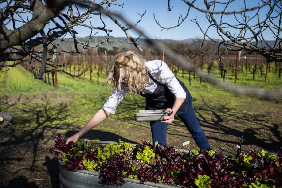 Chef Gretchen Stoops Luongo in the St. Supery culinary garden 