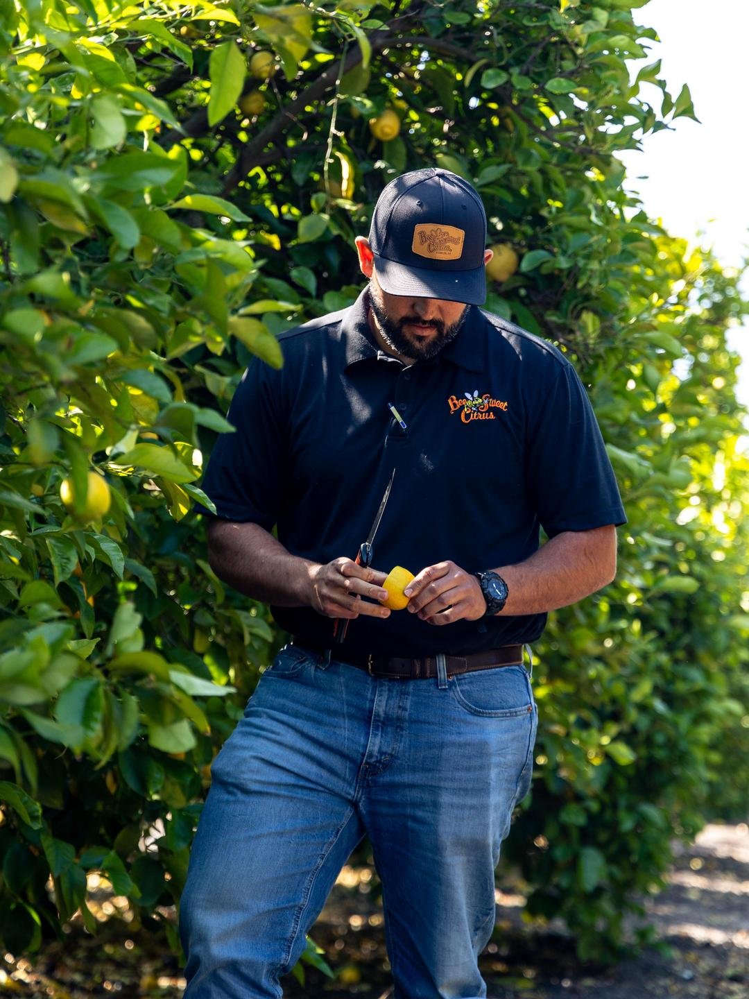 Randy Stucky, Director of Harvest at Bee Sweet inspecting a lemon for ripeness