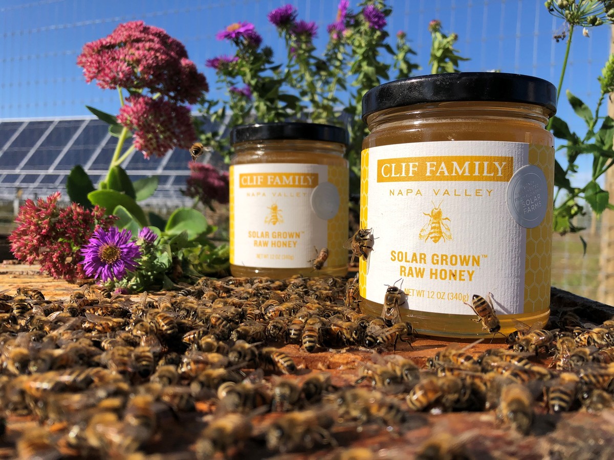 Clif Family Solar Grown Honey