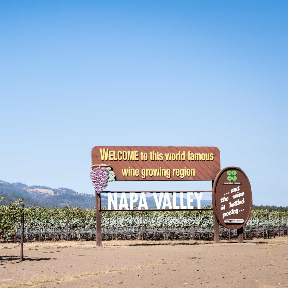 Vineyard Voyages: A Tasting Tour of California Wine Regions
