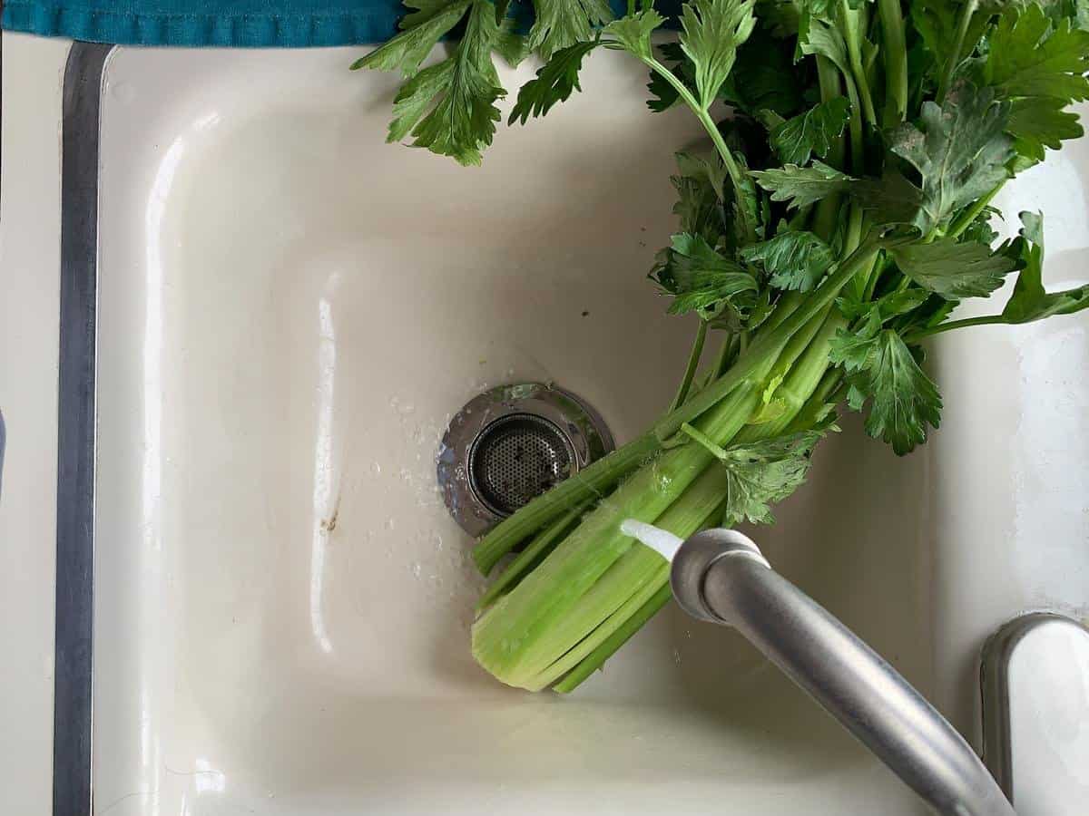 wash celery