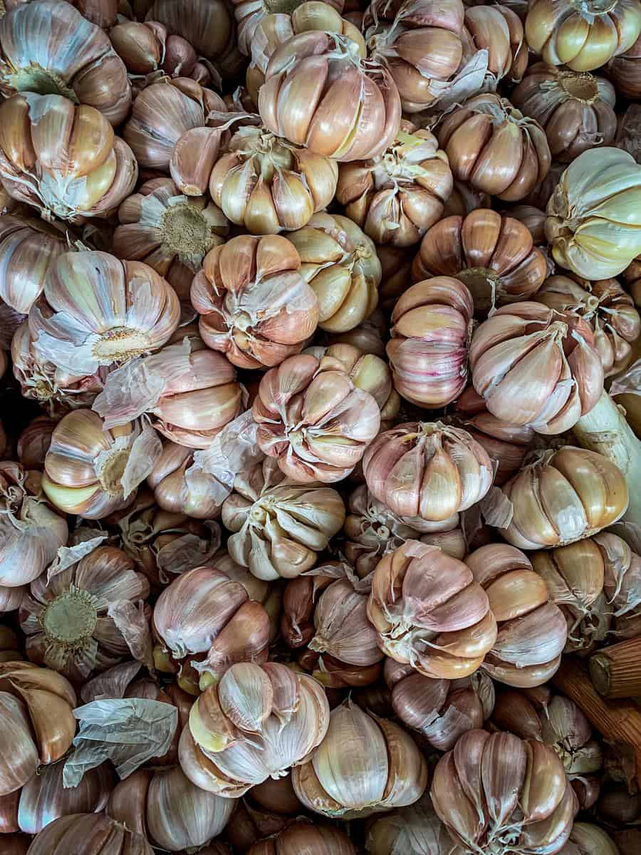 fresh california garlic