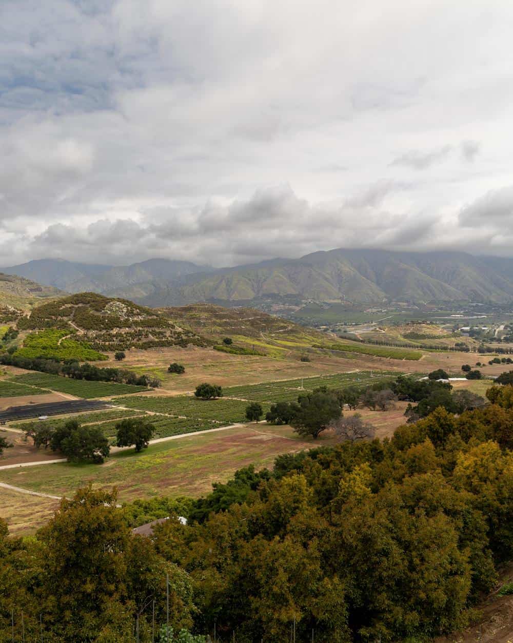 View of Pauma Valley, just outside of Temecula, where Fairfield Farms is located