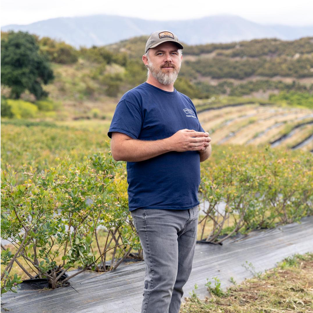 Fairfield Farms: An Organic Avocado + Blueberry Farm