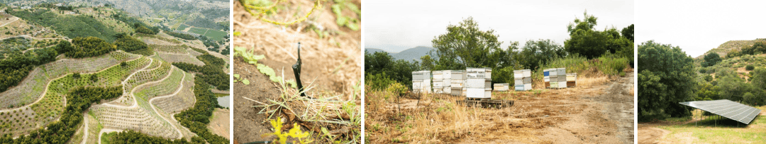 Examples of sustainability at Fairfield Farms