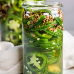 The Best Jalapeno Pickle Recipe (Easy and Delicious!)