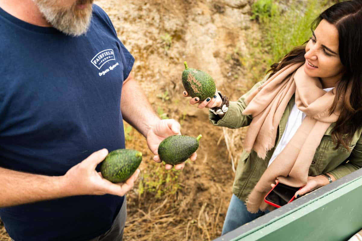 Spencer Steed showing avocados to Elina Saiach