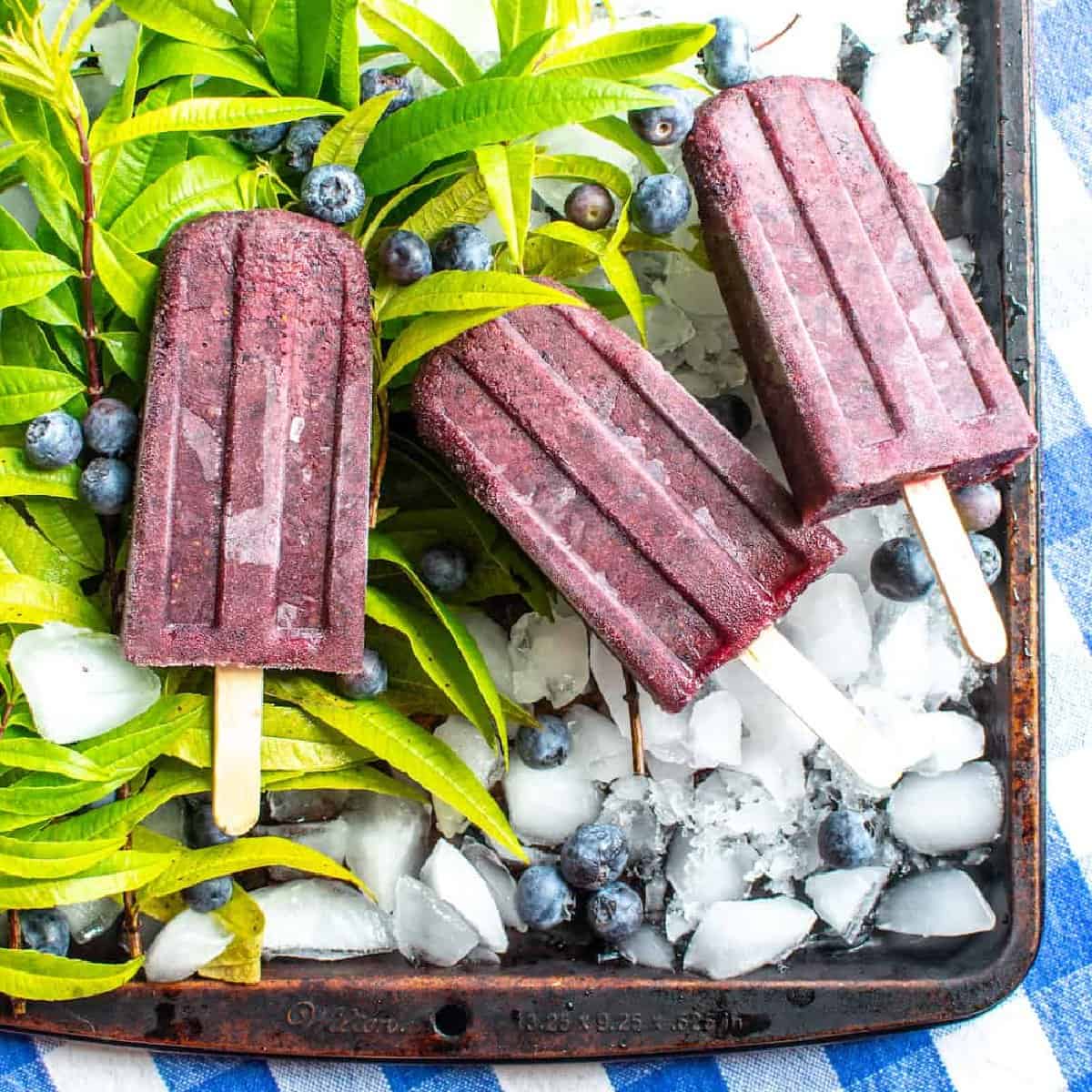 Blueberry Verbena Popsicles from Kate's Best Recipes