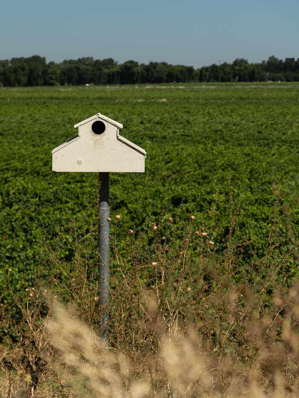 Bird boxes on the perimeter of the vineyard at Heringer Estates