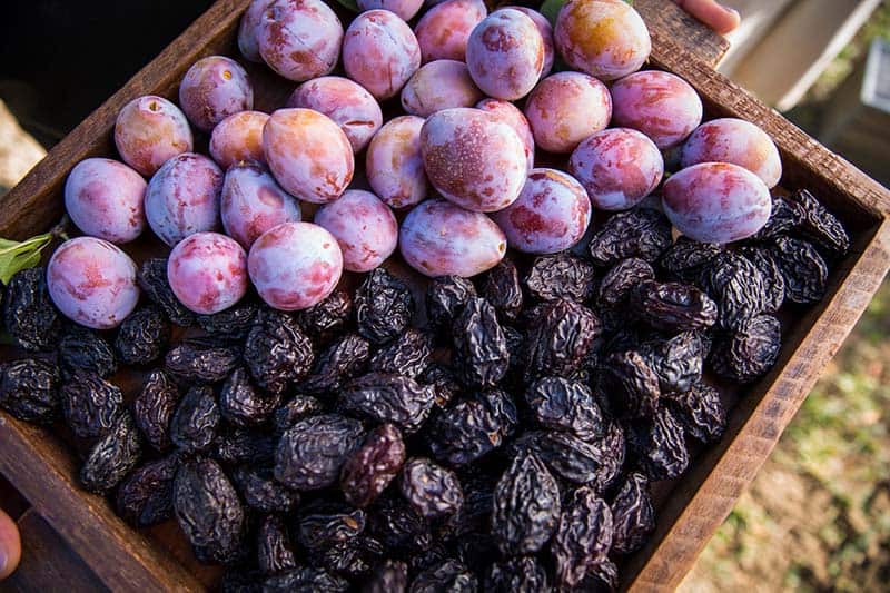 Fresh California plums and prunes.