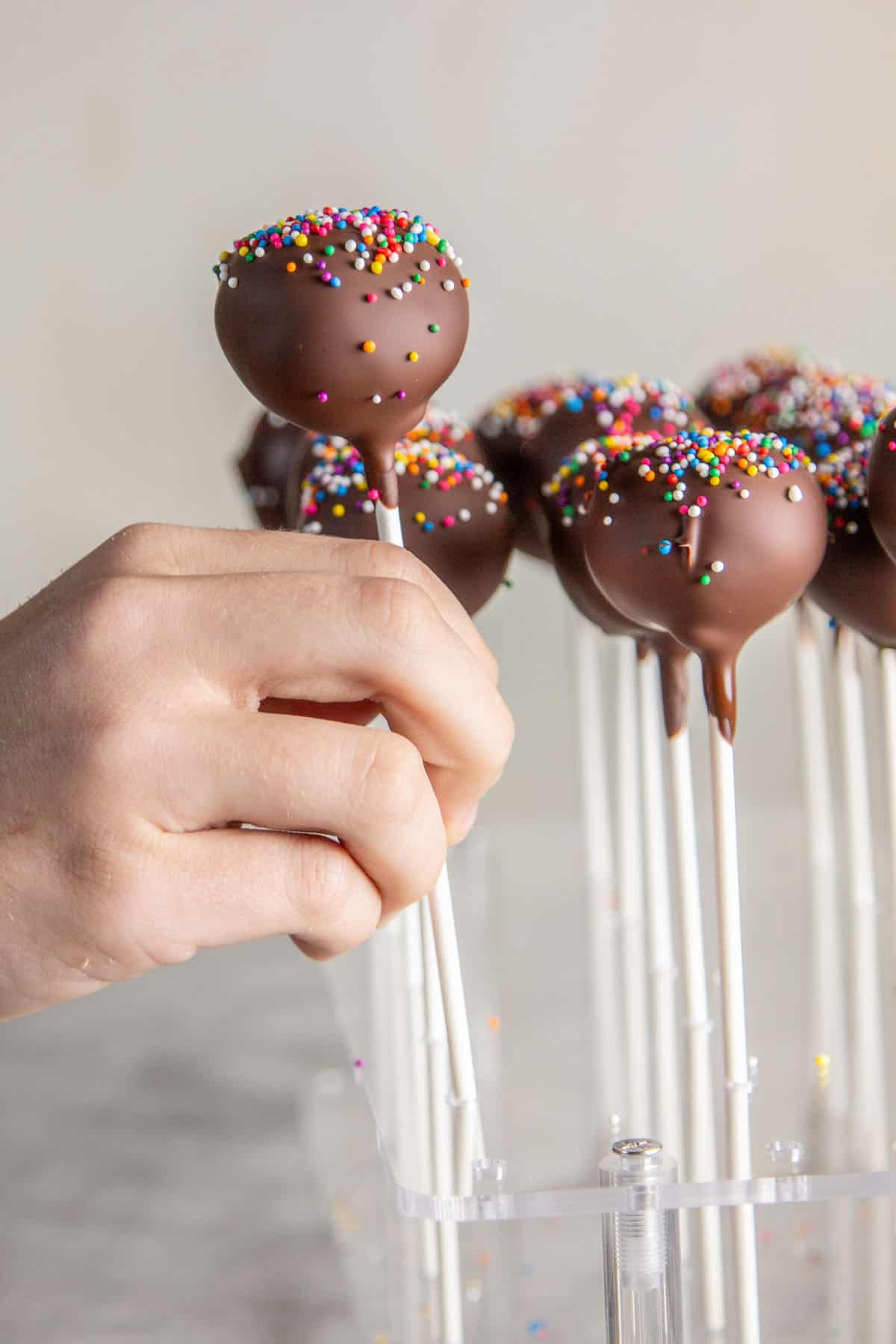 How to Make the Best Cake Pops (Step by Step)