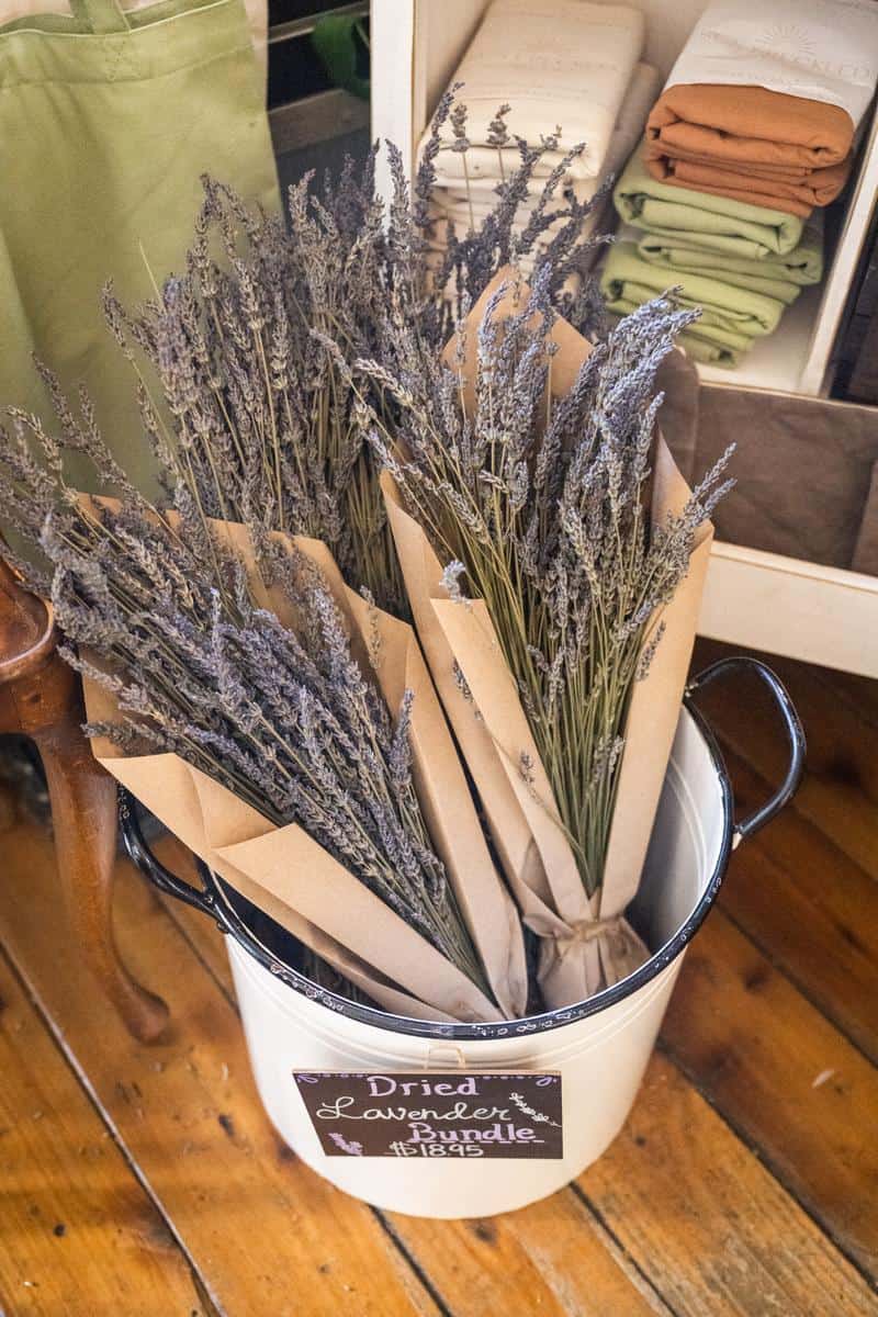 Temecula Lavender Co. dried lavender for sale