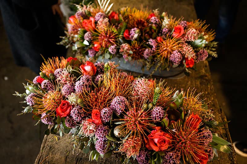 How Pincushion Protea Flowers Are Grown in California - California Grown