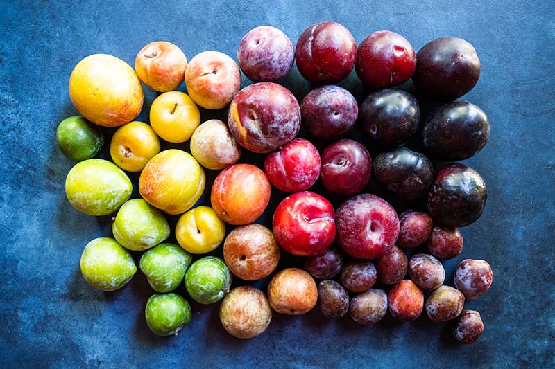 Try this versatile purple fruit for a plum-delicious feeling