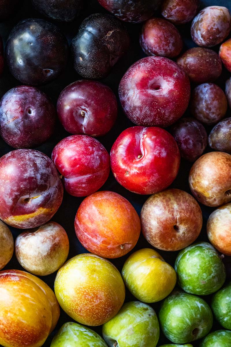 The Ultimate Guide To Pluot Fruit, Plums, And Prunes - California