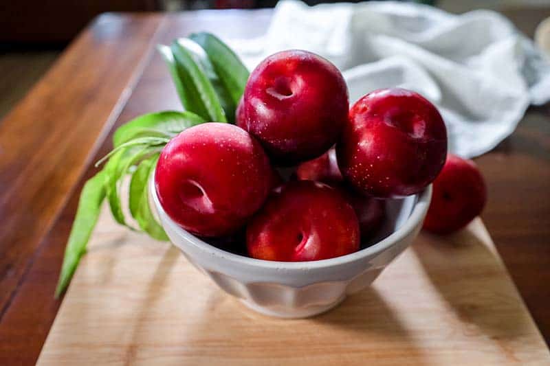 bunch of pluots in a bowl - 