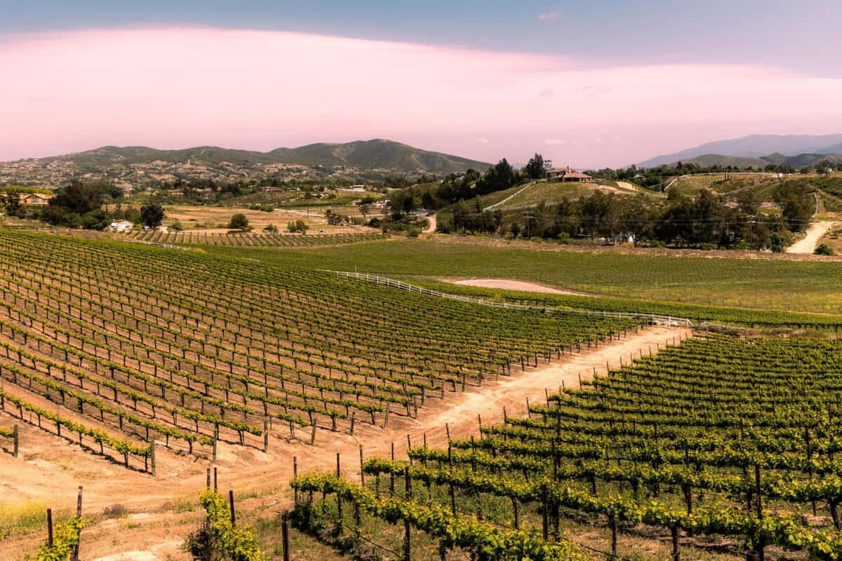 The Ultimate Temecula Travel Guide • The Blonde Abroad