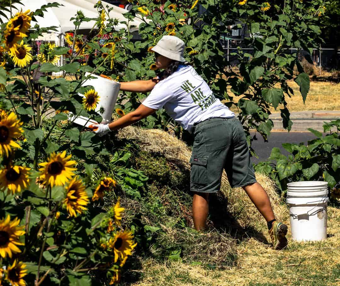 volunteer adding waste to the mulch pile at Three Sisters Gardens Urban Farm