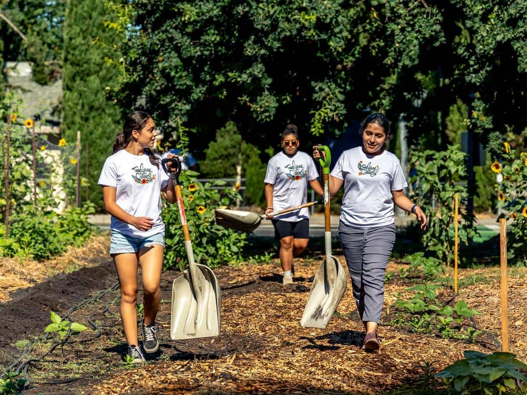 Three girls using shovels to haul mulch