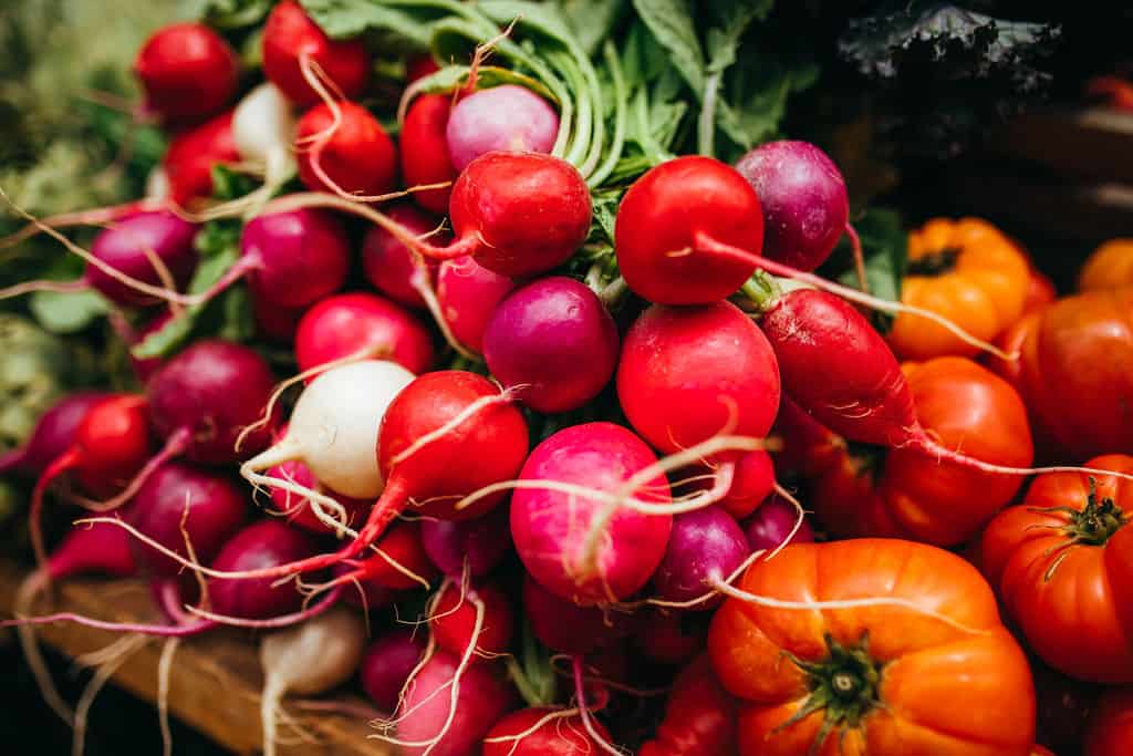 radishes and tomatoes