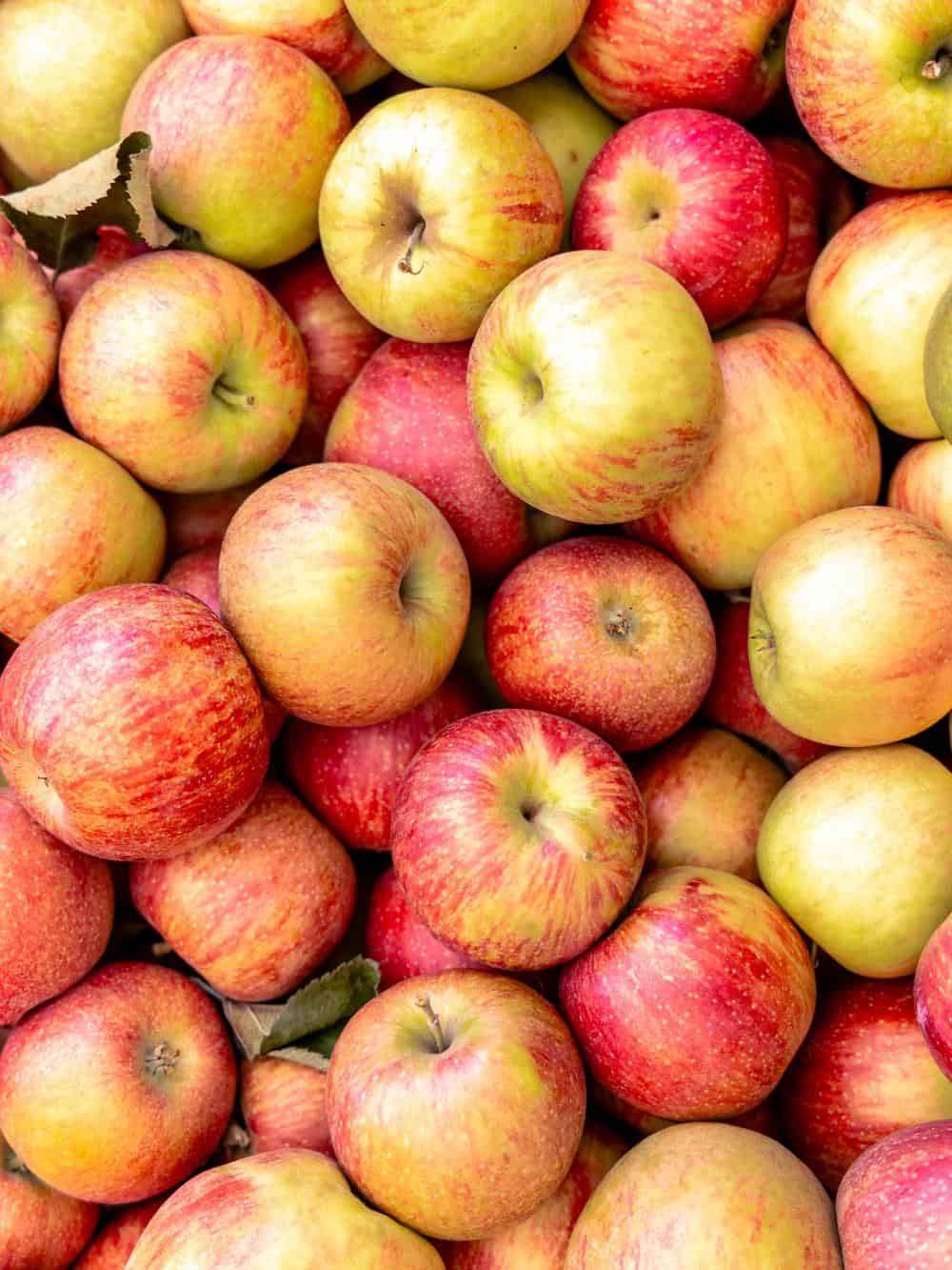 bin of apples