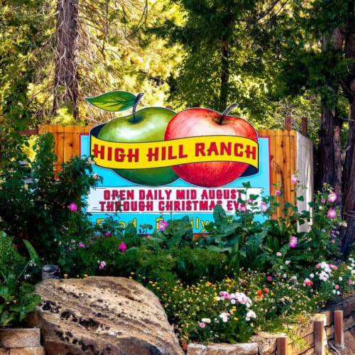 Add a Visit to High Hill Ranch to Your Fall Bucket List!