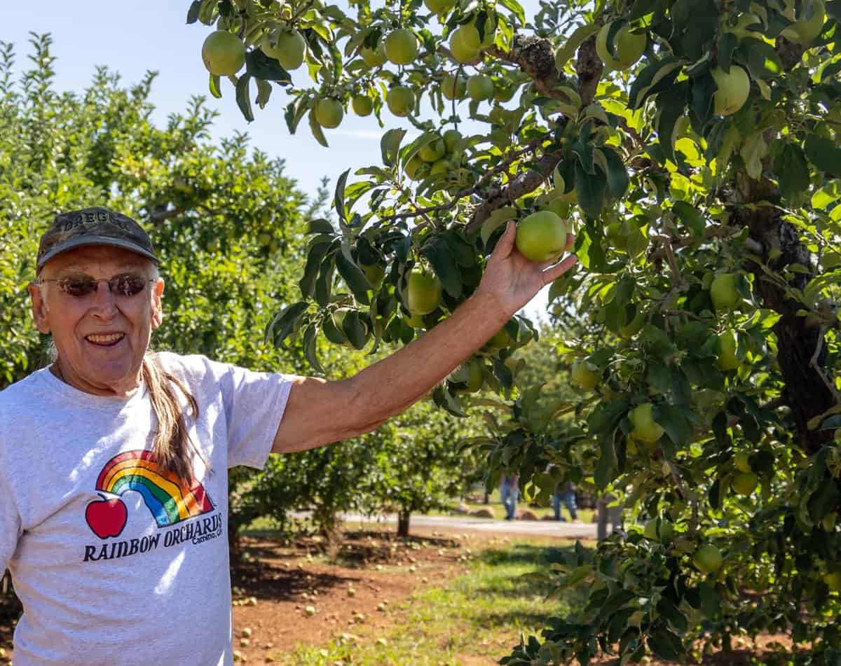 Tom Heflin, owner of Rainbow Orchards