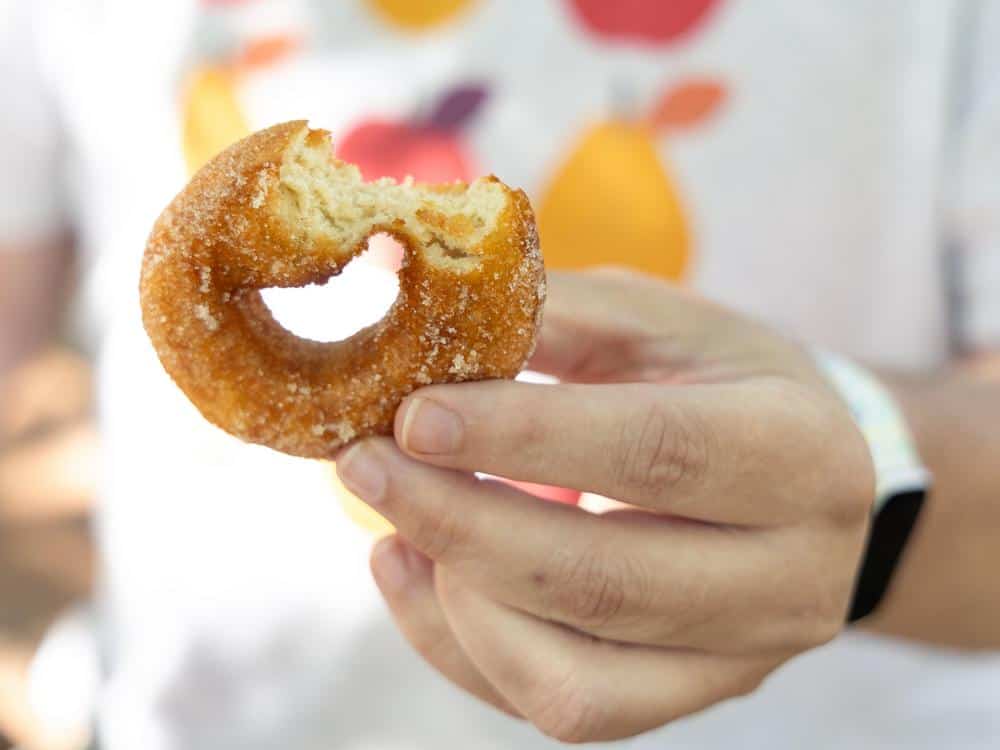 Visit Rainbow Orchards for Apple Cider Donuts + Chill California Vibes