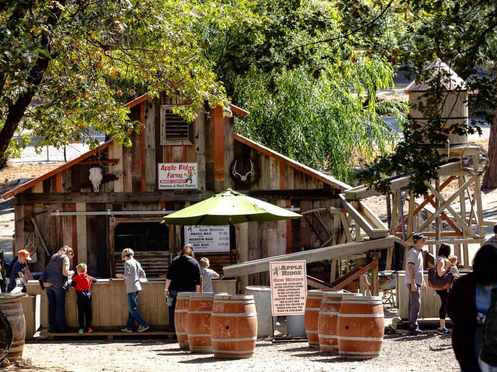 families mining for gold and gems at Apple Ridge Farms