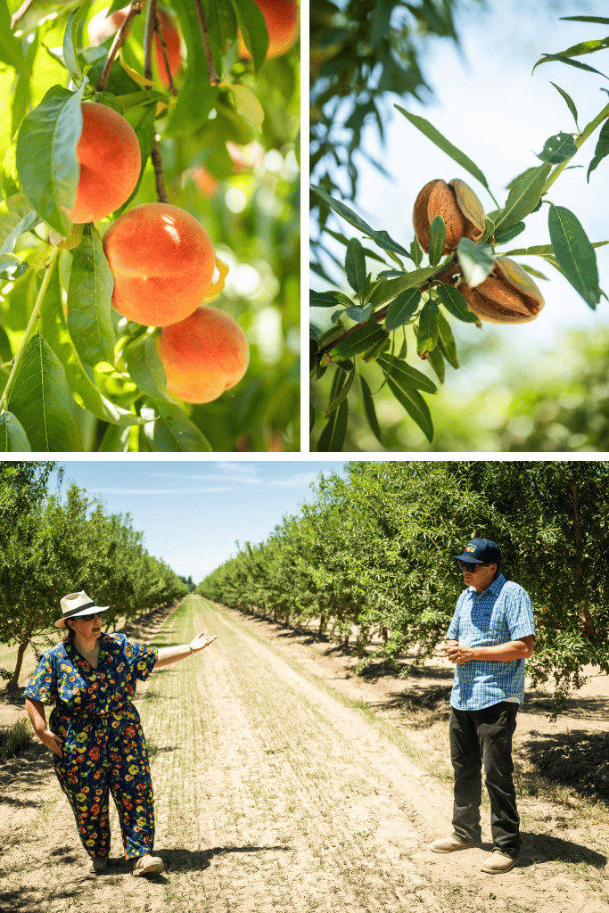 The Cubre Family – Farming in the San Joaquin Valley since 1927