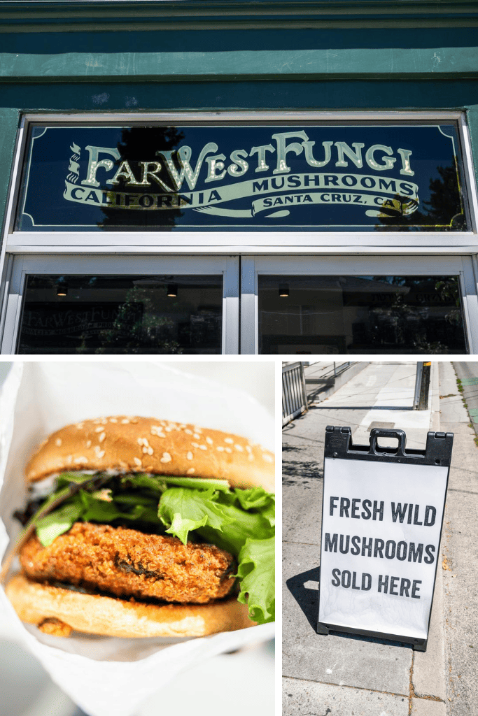 Buy, Eat, and Learn at Far West Fungi’s Retail and Restaurant Locations