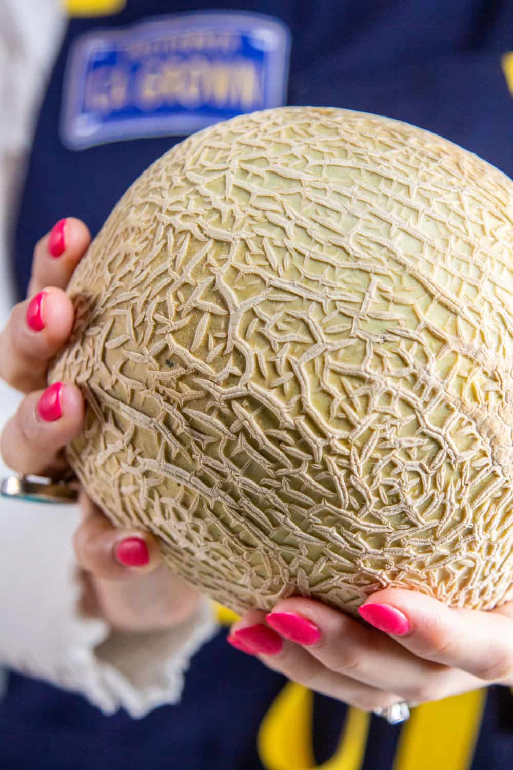 holding a cantaloupe melon