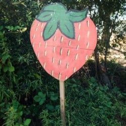 gizdich ranch strawberry sign