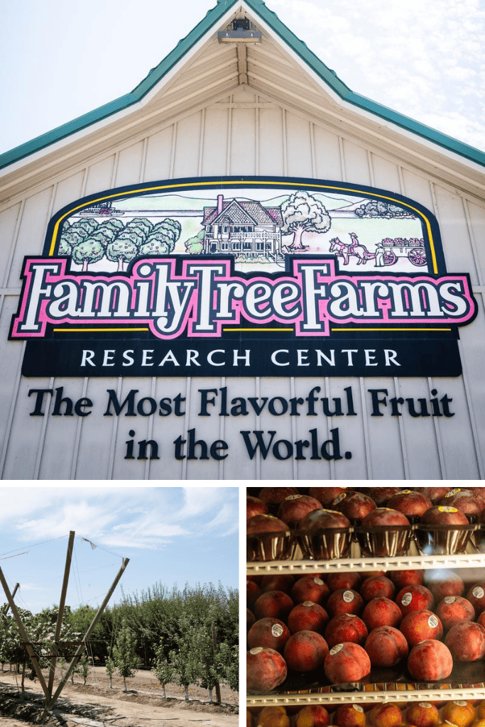 Family Tree Farms – From Humble Beginnings to Leadership in Ag Innovation
