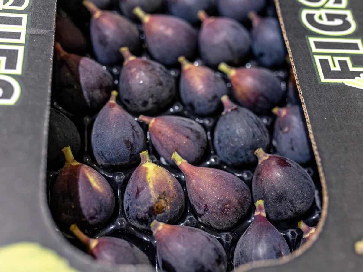 Figs boxed and ready to be shipped to the grocery store
