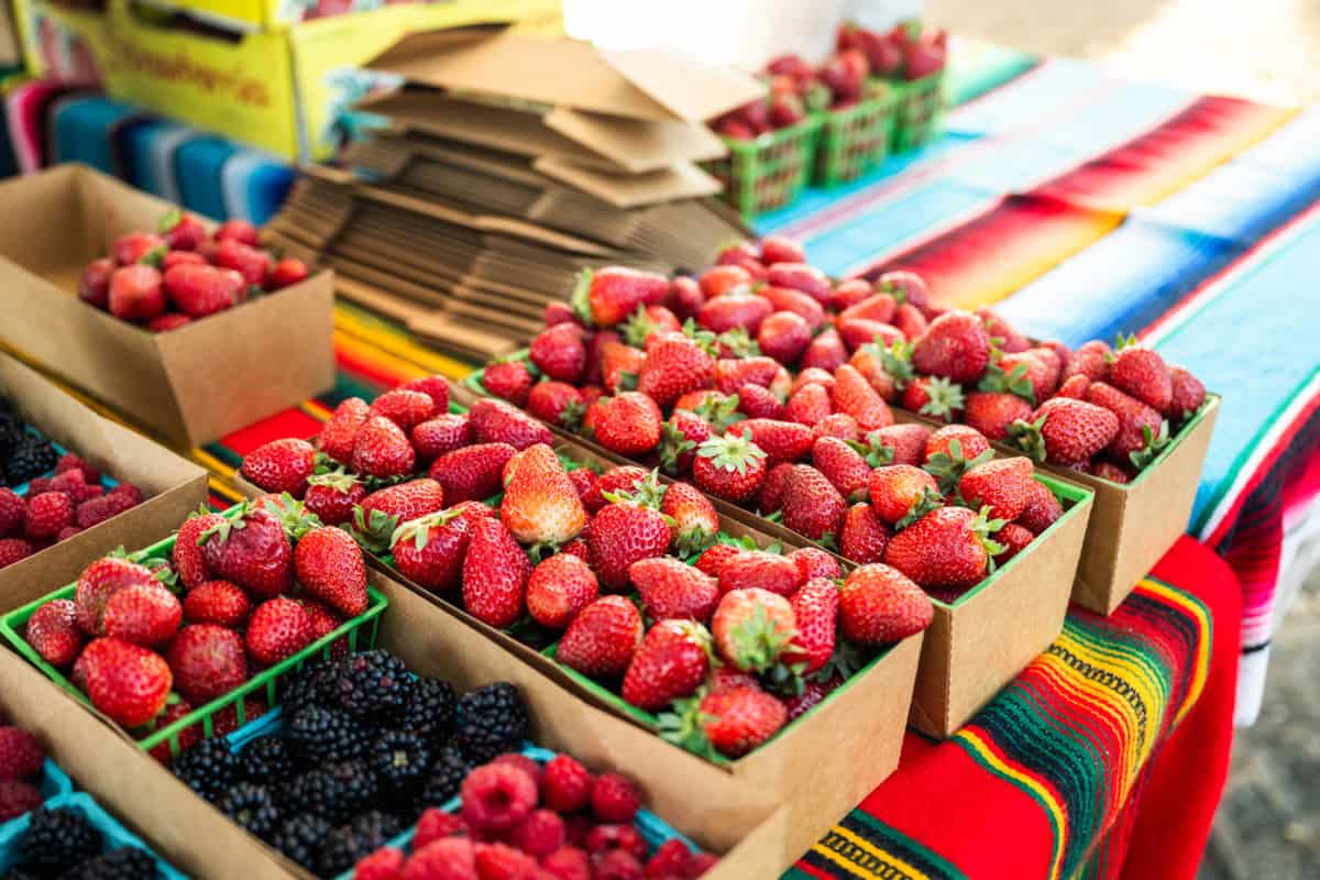 cartons of Fresh strawberries from Mendoza Farms at Vineyard Farmers Market