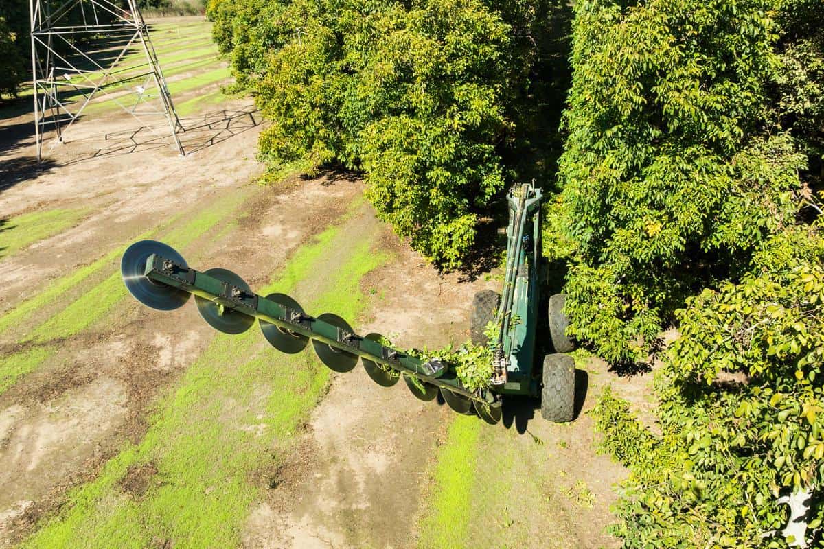 mechanical harvesting equipment in walnut orchard