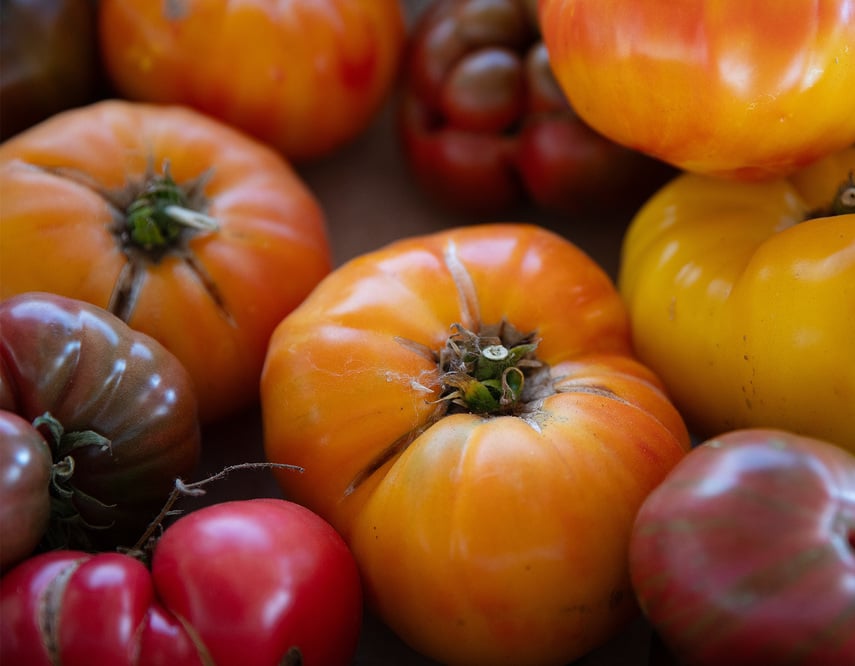 tutti Fruit Farms Heirloom Tomatoes