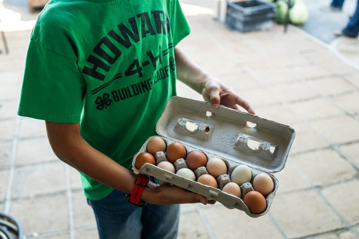 the Crafton boys sell fresh eggs as part of their 4-H project