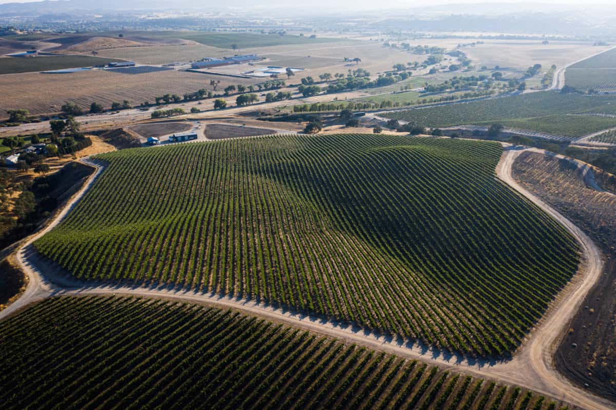 aerial view of paso robles