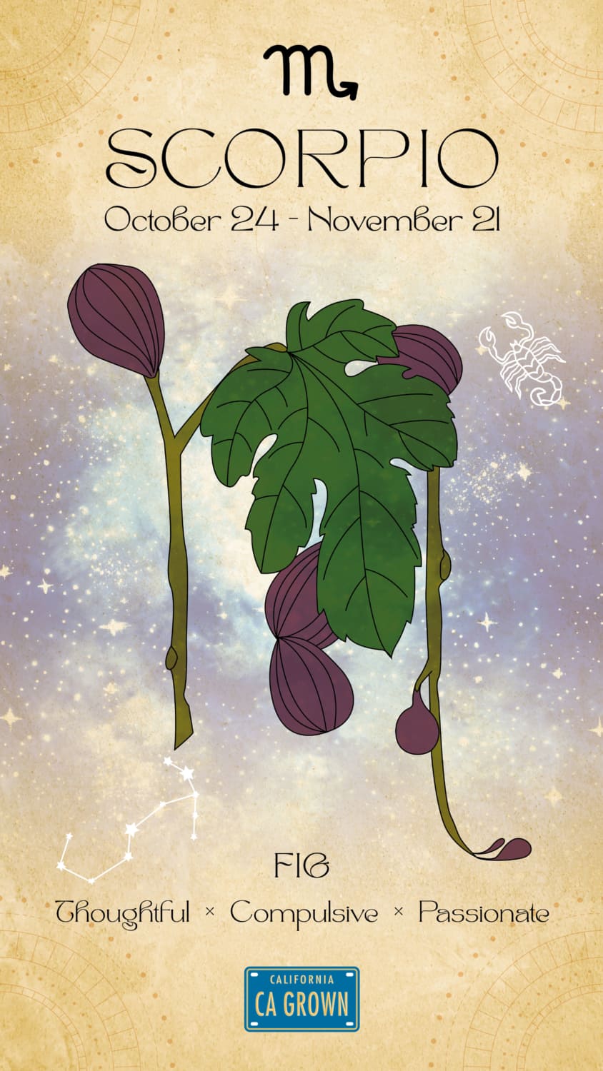 Scorpios are represented by Figs in our crop zodiac