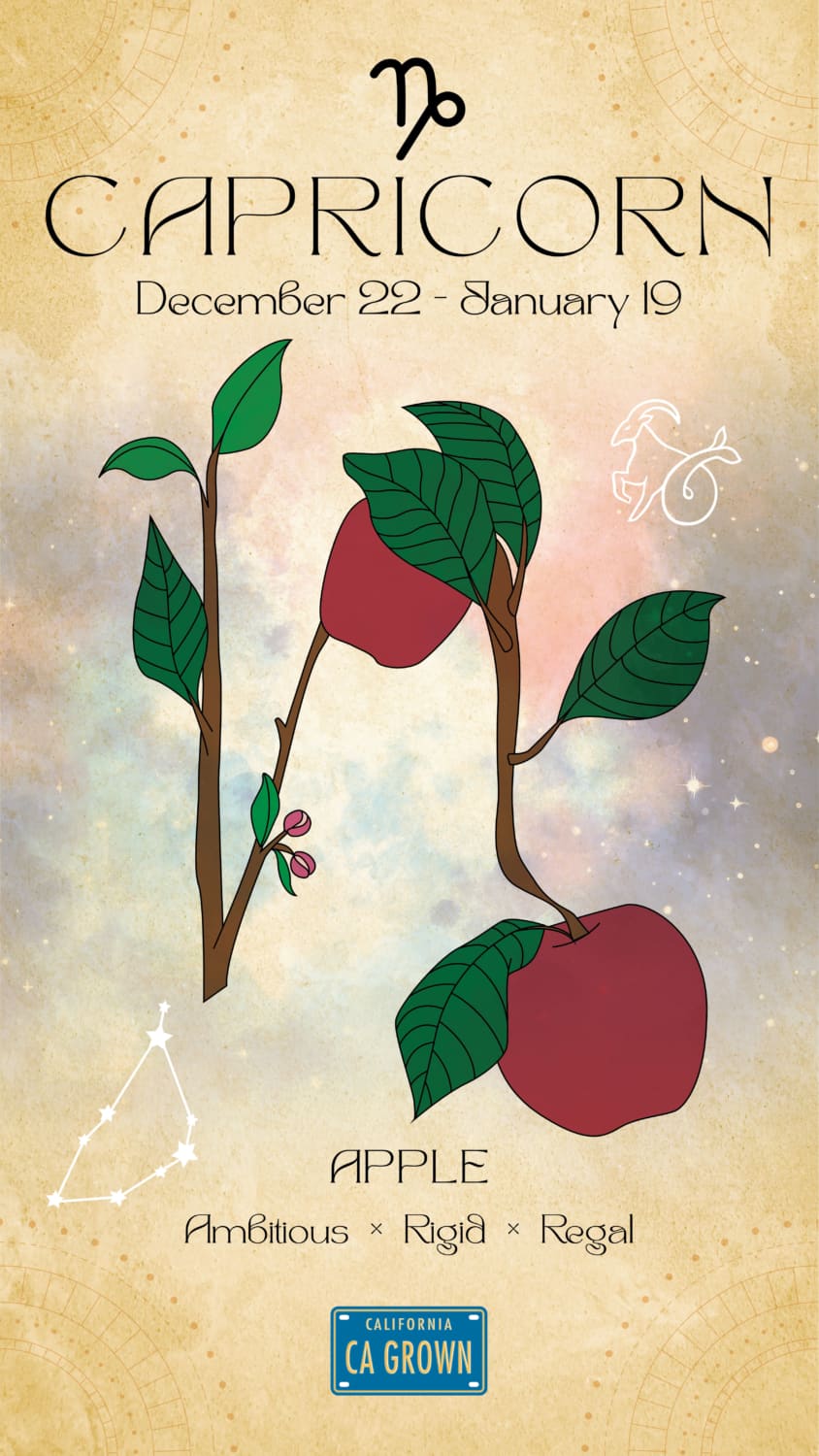 Capricorn crop Zodiac with apples